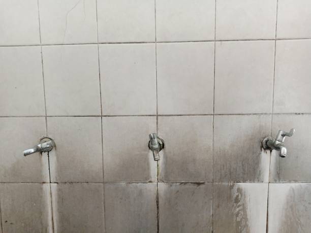 Best Commercial water damage restoration  in Anderson, SC
