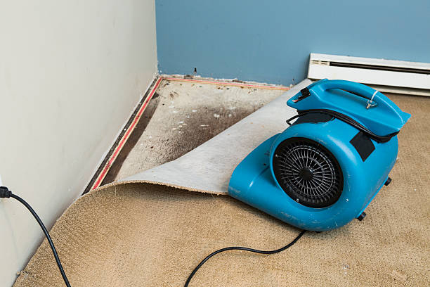 Best Water damage restoration cost  in Anderson, SC